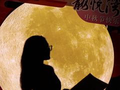 -龙悦湾酒家·八阵鱼生·渔人码头店
