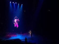 -珠海横琴长隆《卡卡虎奇遇记》