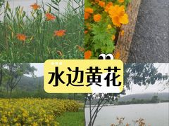 -南北湖风景区