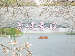 -苏堤停车场