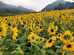 -广州市石门国家森林公园