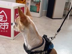 -纳吉亚猫专科动物医院·北北分院