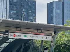 -映月湖中央公园