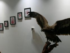 -天悦国际瑜伽学院