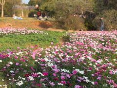 -盘龙城国家考古遗址公园