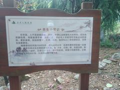 -石老人观光园