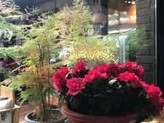 -苹果树下艺术餐厅(宋庄店)