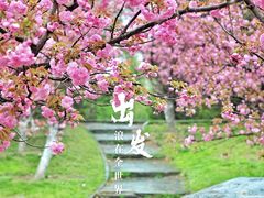 -朝阳公园