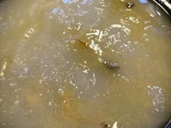 -草墩罗非鱼庄•野生菌•腊排骨(七星街上段店)