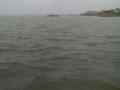 android_upload_pic-溱湖国家湿地公园