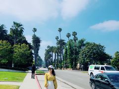 -比弗利花园