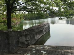 -青枫公园