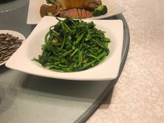 清炒苋菜-湖锦酒楼·32年地道湖北菜(光谷店)