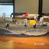 猪肉天花板——金华两头乌！
