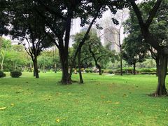 -晓港公园