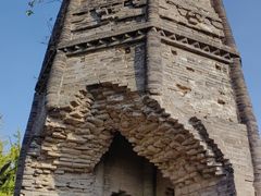 -上海佘山国家森林公园天马山园