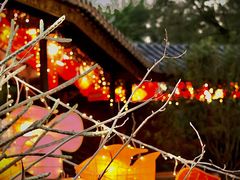 -顺峰山公园
