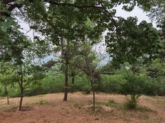 -北京西山国家森林公园