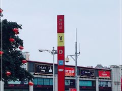 -潭村(地铁站)