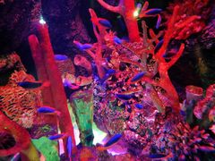 -沈阳海洋探索中心