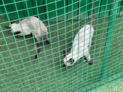 -萌宠亲子动物乐园(槐房万达店)