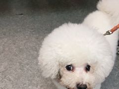 -安安宠医·安宠宠物医院