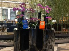 -天津君隆威斯汀酒店