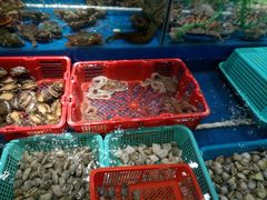 -海蓝海鲜馆(五四北店)