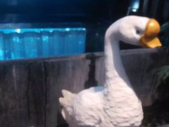 -眉州东坡(通州店)