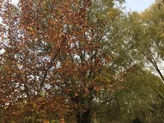 -泰安地下龙宫景区