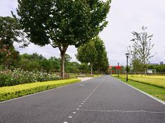 -上海山野camping·户外天幕烧烤·团建拓展营地