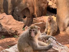 -昆明动物园