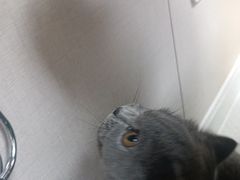 -安安宠医·臻爱宠物医院·宠保定点(营门口路分院)