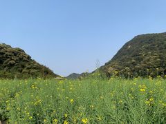 -广州市石门国家森林公园