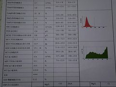 -睿金宠物医院·CT·肿瘤·骨外科