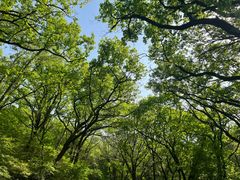 -萨尔浒风景区