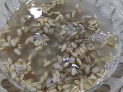 -雪露酸奶