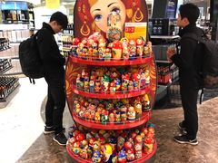 -谢列梅捷沃国际机场