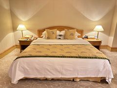 -南京维景国际大酒店(南京博物院店)