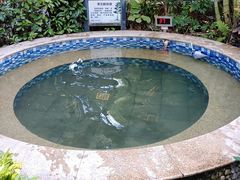 -林丰温泉度假山庄