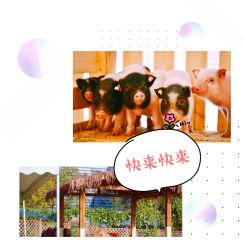 -萌宠亲子动物乐园(槐房万达店)