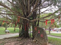 -红色娘子军纪念园