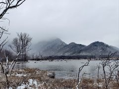 -大九湖