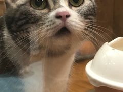 -龟与熊猫宠物公园(南坪店)