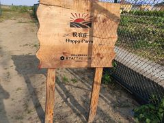 -上海崇明金茂凯悦酒店