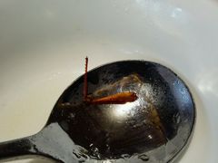 -72街红烧排骨饭(海珠丽影广场店)