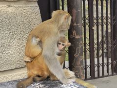 -白帝城·瞿塘峡景区