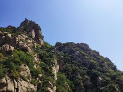 -大岭沟猕猴桃谷风景区