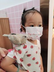 -Moni星球萌宠·小马宝莉·灵蛇·高端高阶全萌宠互动体验俱乐部(红豆国际广场店)