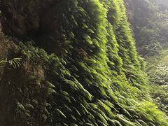-通灵大峡谷